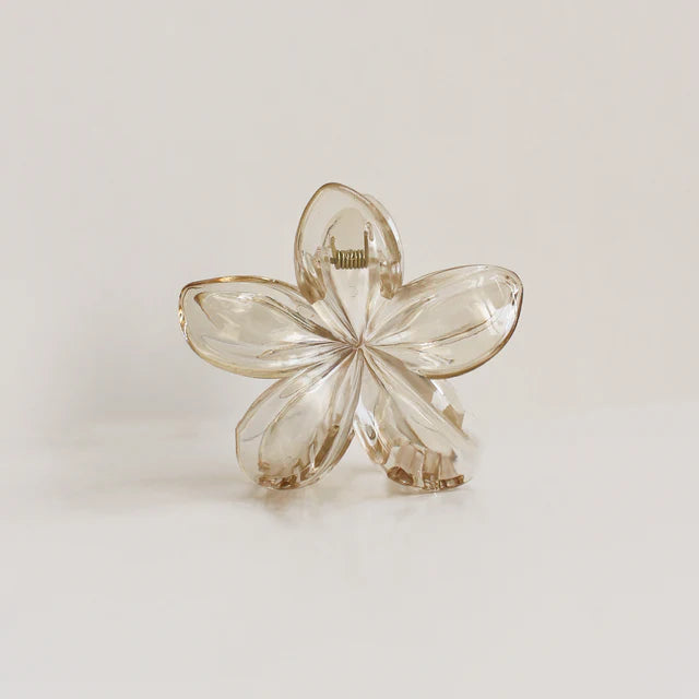 Floral Hair Clip - Clear Taupe