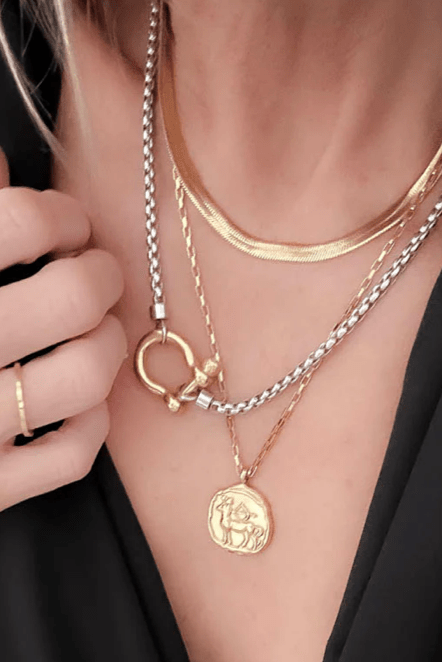 Carabiner Horse Bit Necklace: Two Tone - The Daisy Chain