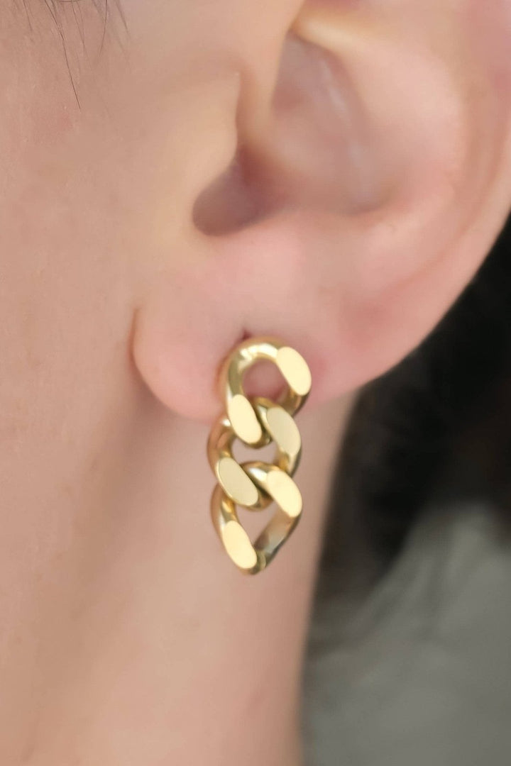 Curb Link Earrings - The Daisy Chain