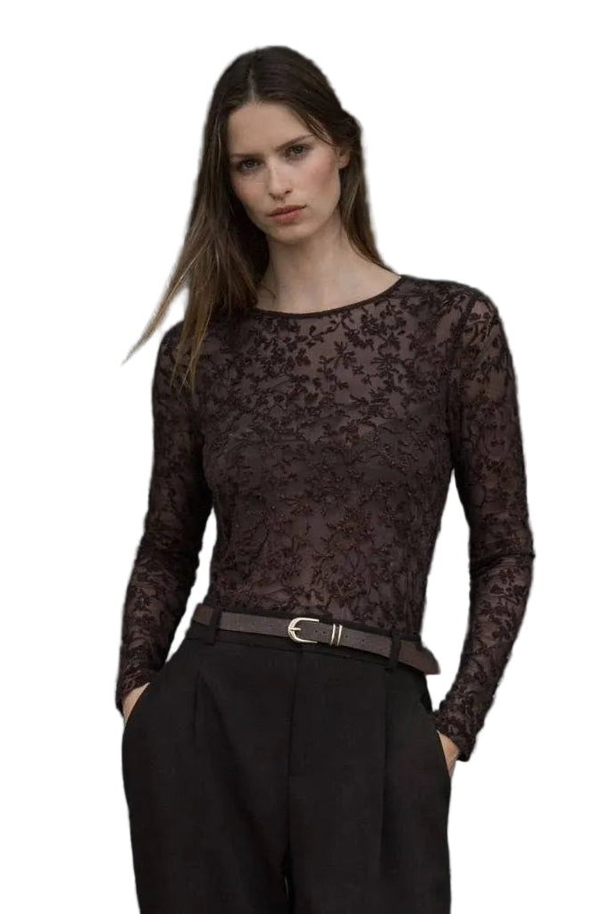 Sheer Velvet Top: Chocolate