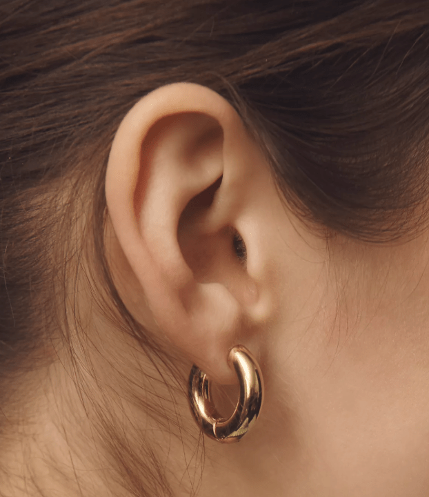 Puffy Hinge Hoop Earring - The Daisy Chain